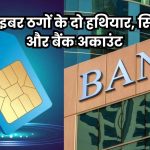 साइबर अपराध में लेन देन करने वाले 91 संदिग्ध बैंक शाखाएं चिह्नित, इन जिलों में है गढ़