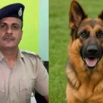 गुजरात में पुलिस इंस्पेक्टर की तड़प-तड़प कर मौत, पालतू कुत्ते का नाखून लगने से हुआ था रेबीज़
