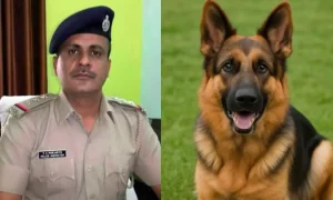 गुजरात में पुलिस इंस्पेक्टर की तड़प-तड़प कर मौत,…